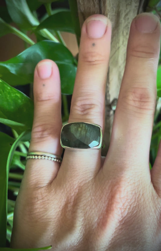 Faceted Labradorite set in Silver sz7.5
